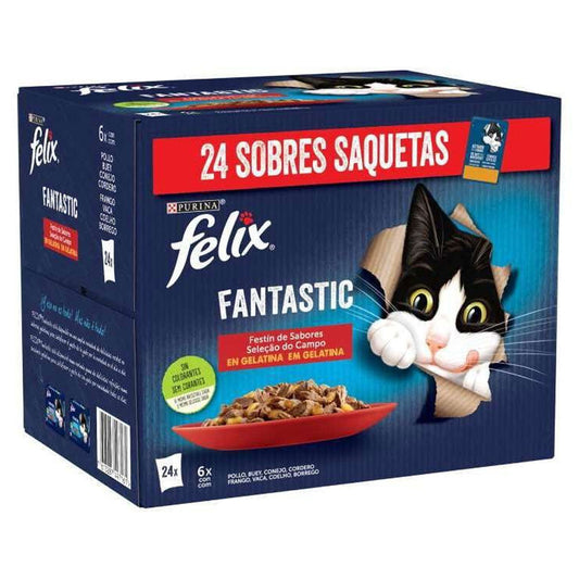 Felix Fantastic - Gato Adulto (Pack 24 em Gelatina)