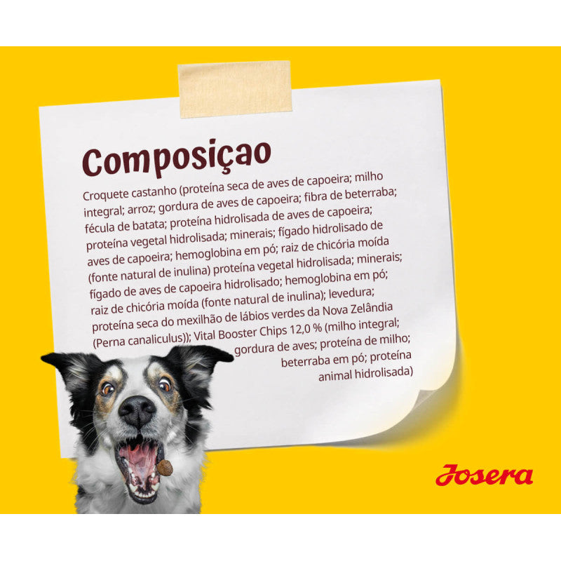Josera All Sizes Fiesta Plus - Ração Seca sem Cereais para Cão Adulto - Salmão