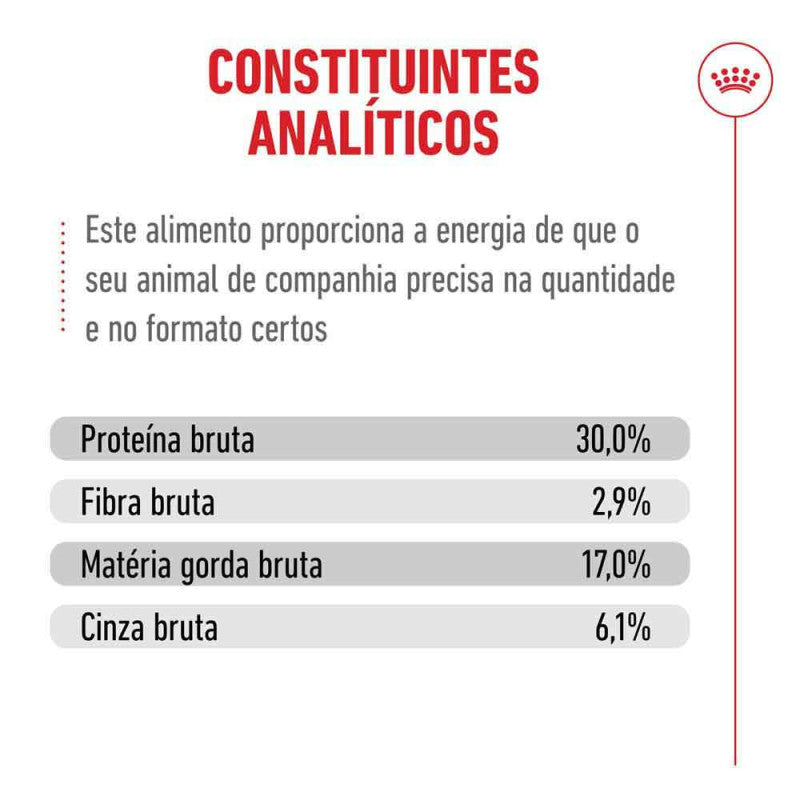Royal Canin Ageing 11+ - Ração seca para gato com mais de 11 anos