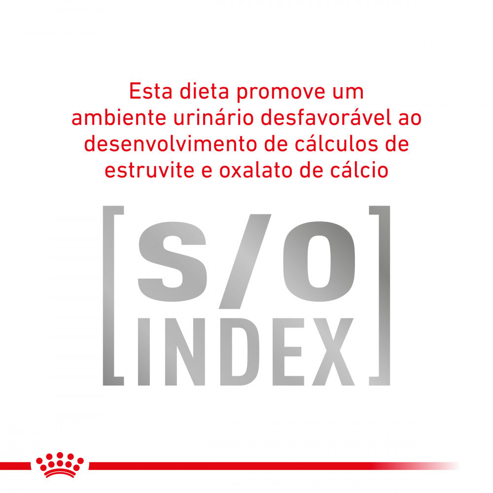 Royal Canin VET Gastrointestinal Hairball - Ração seca para gato adulto com problemas digestivos