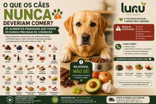 O que os cães nunca deveriam comer? 25 alimentos perigosos que todos os donos precisam de conhecer