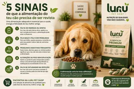 5 sinais de que a alimentação do teu cão precisa de ser revista