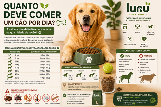 Quanto deve comer um cão por dia? A calculadora definitiva para acertar na quantidade de ração