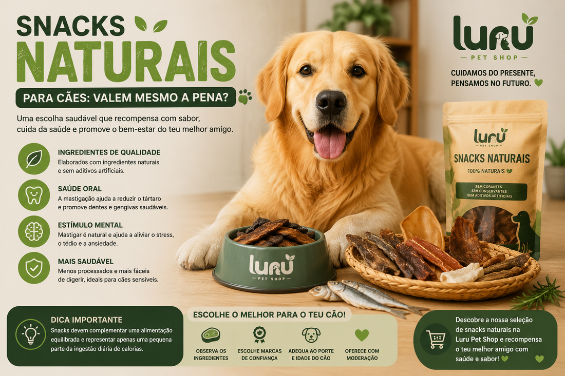Snacks naturais para cães: valem mesmo a pena?
