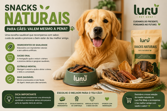 Snacks naturais para cães: valem mesmo a pena?