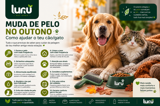 Muda de pelo no outono: como ajudar o teu cão/gato 🍂