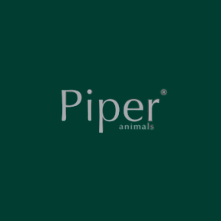 Piper