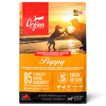 Orijen Puppy - Ração Seca para Cachorro - Frango