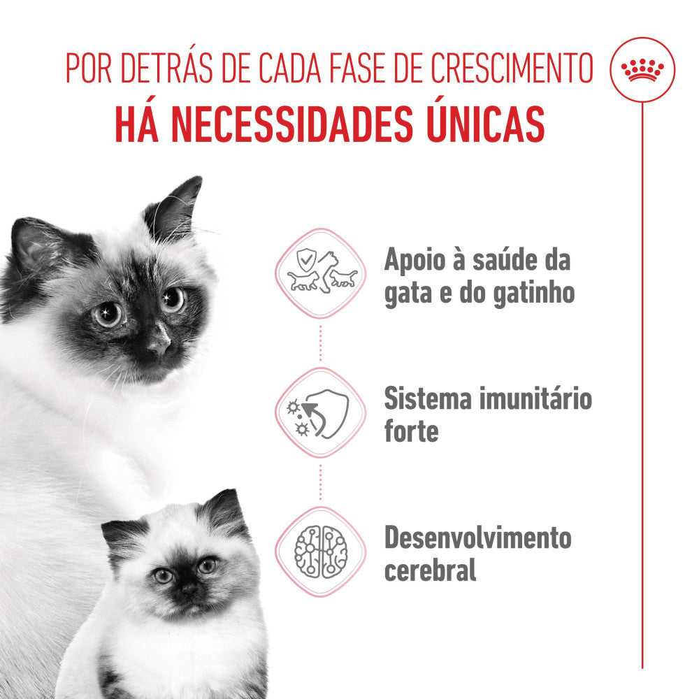 Royal Canin Mother & Babycat - Ração seca para gatinho recém-nascido e gata gestante/lactante