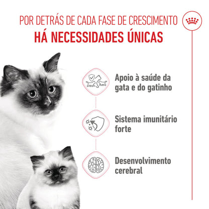 Royal Canin Mother & Babycat - Ração seca para gatinho recém-nascido e gata gestante/lactante
