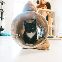 Túnel Cozette para Gato - Duvo Plus