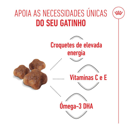 Royal Canin Mother & Babycat - Ração seca para gatinho recém-nascido e gata gestante/lactante
