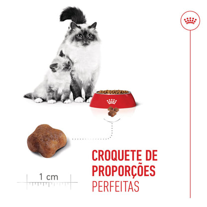 Royal Canin Mother & Babycat - Ração seca para gatinho recém-nascido e gata gestante/lactante