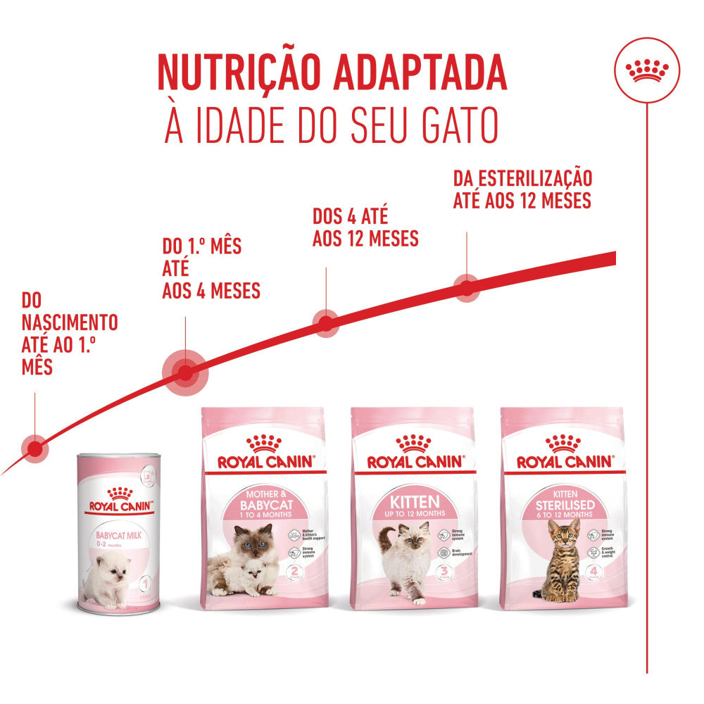 Royal Canin Mother & Babycat - Ração seca para gatinho recém-nascido e gata gestante/lactante