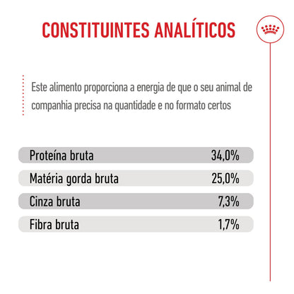 Royal Canin Mother & Babycat - Ração seca para gatinho recém-nascido e gata gestante/lactante
