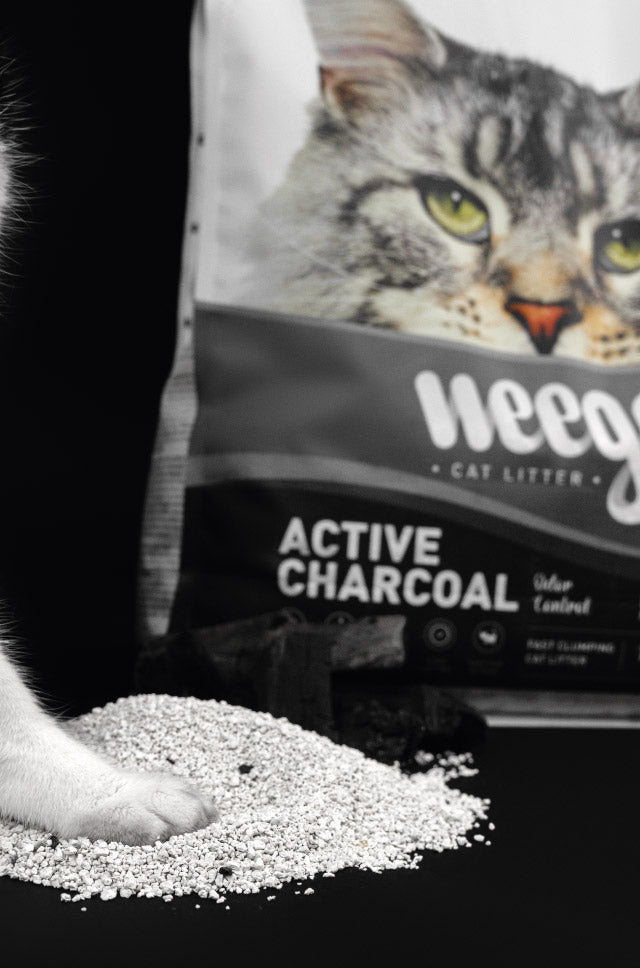 Weego Active Charcoal - Areia Aglomerante de Bentonita com Carvão Ativado para Gatos