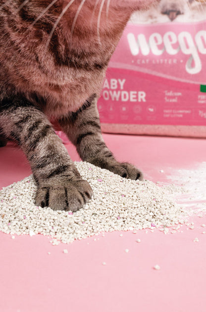 Weego Baby Powder - Areia Aglomerante de Bentonita com Aroma a Talco para Gatos