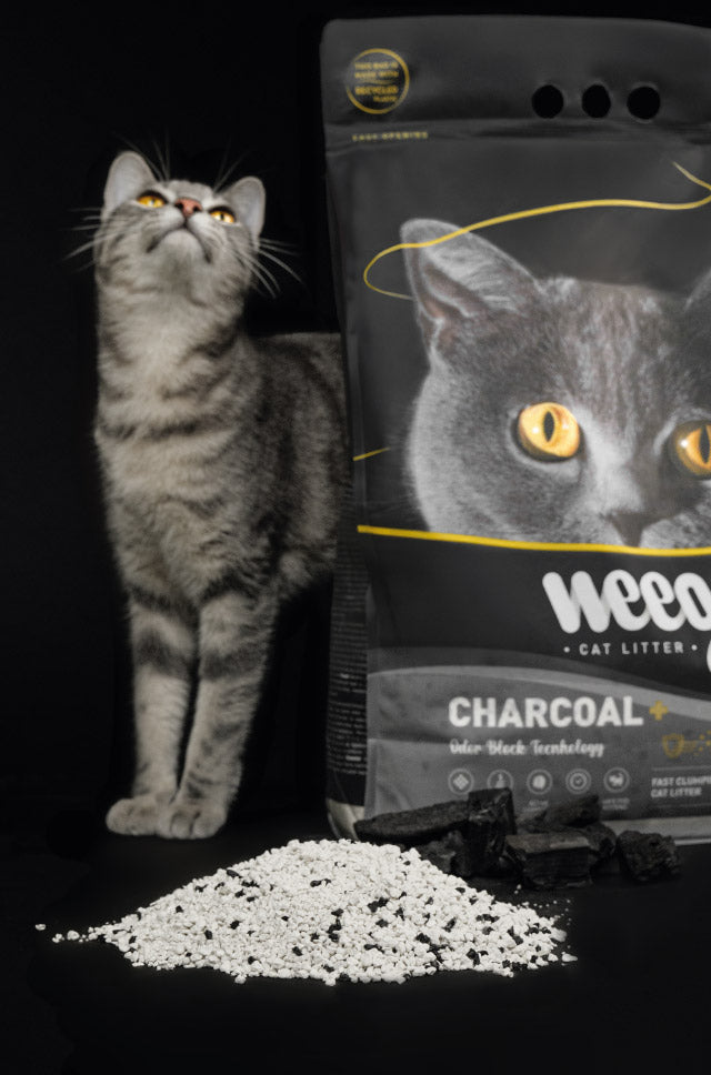 Weego Charcoal Plus+ - Areia Aglomerante com Carvão Ativado para Gatos