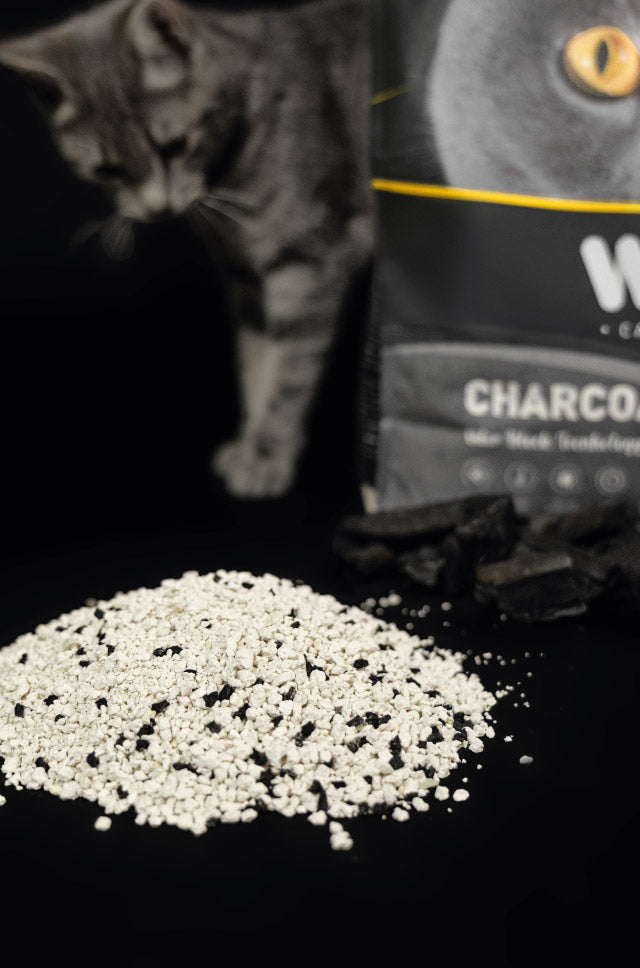 Weego Charcoal Plus+ - Areia Aglomerante com Carvão Ativado para Gatos