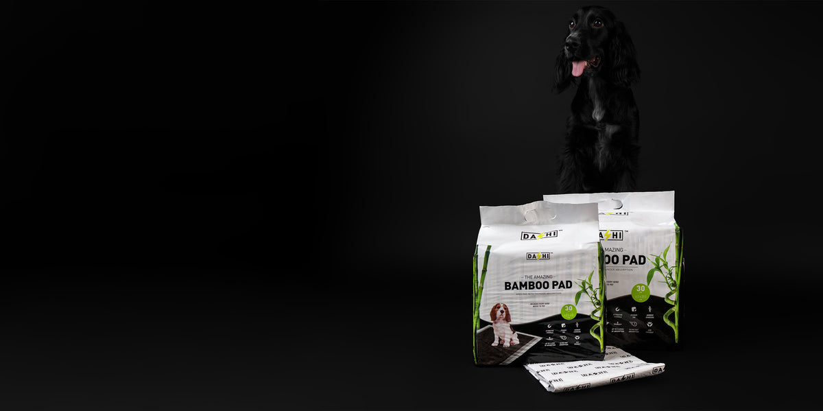 Dashi Bamboo Pads - Resguardos Absorventes para Cães com Carvão de Bambu (Até 2L)