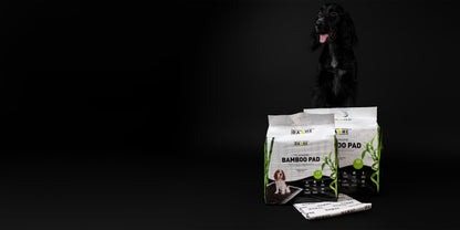Dashi Bamboo Pads - Resguardos Absorventes para Cães com Carvão de Bambu (Até 2L)