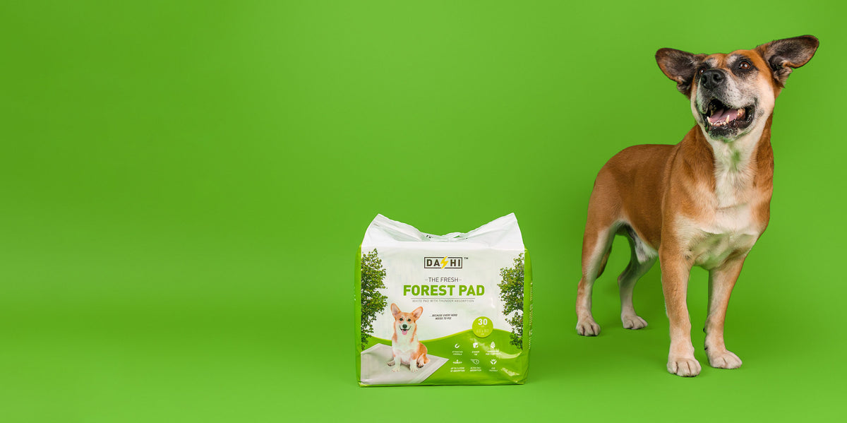 Dashi Forest Pads - Tapetes Absorventes para Cães (Alta Absorção até 2L)