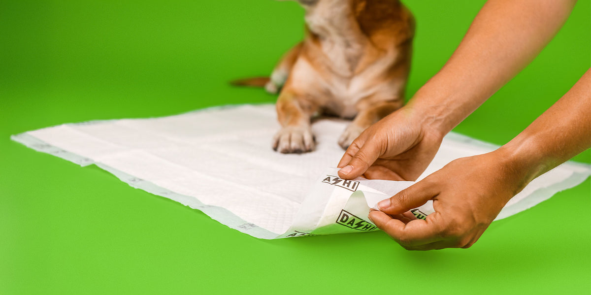 Dashi Forest Pads - Tapetes Absorventes para Cães (Alta Absorção até 2L)