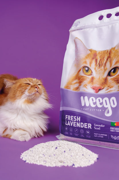 Weego Fresh Lavender - Areia Aglomerante Natural com Aroma a Lavanda para Gatos