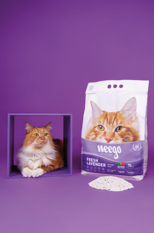 Weego Fresh Lavender - Areia Aglomerante Natural com Aroma a Lavanda para Gatos