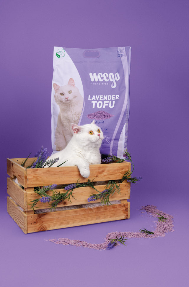 Weego Lavender Tofu - Areia Aglomerante Natural com Aroma a Lavanda para Gatos