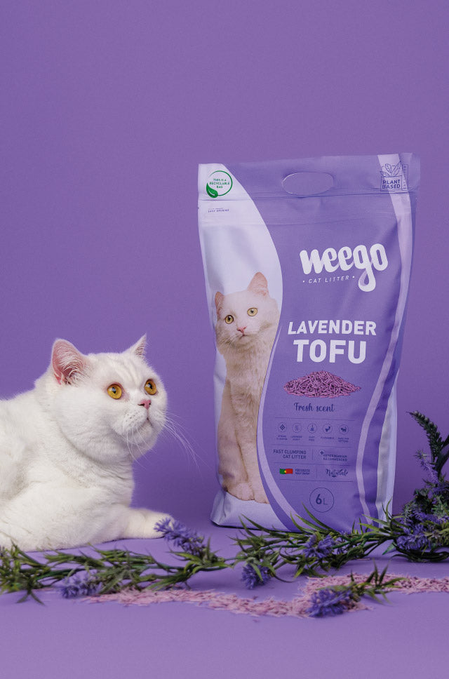 Weego Lavender Tofu - Areia Aglomerante Natural com Aroma a Lavanda para Gatos