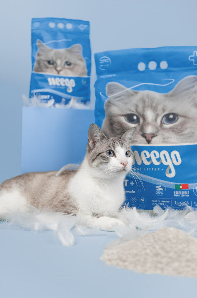 Weego Light+ - Areia Aglomerante Leve para Gatos Sem Perfume