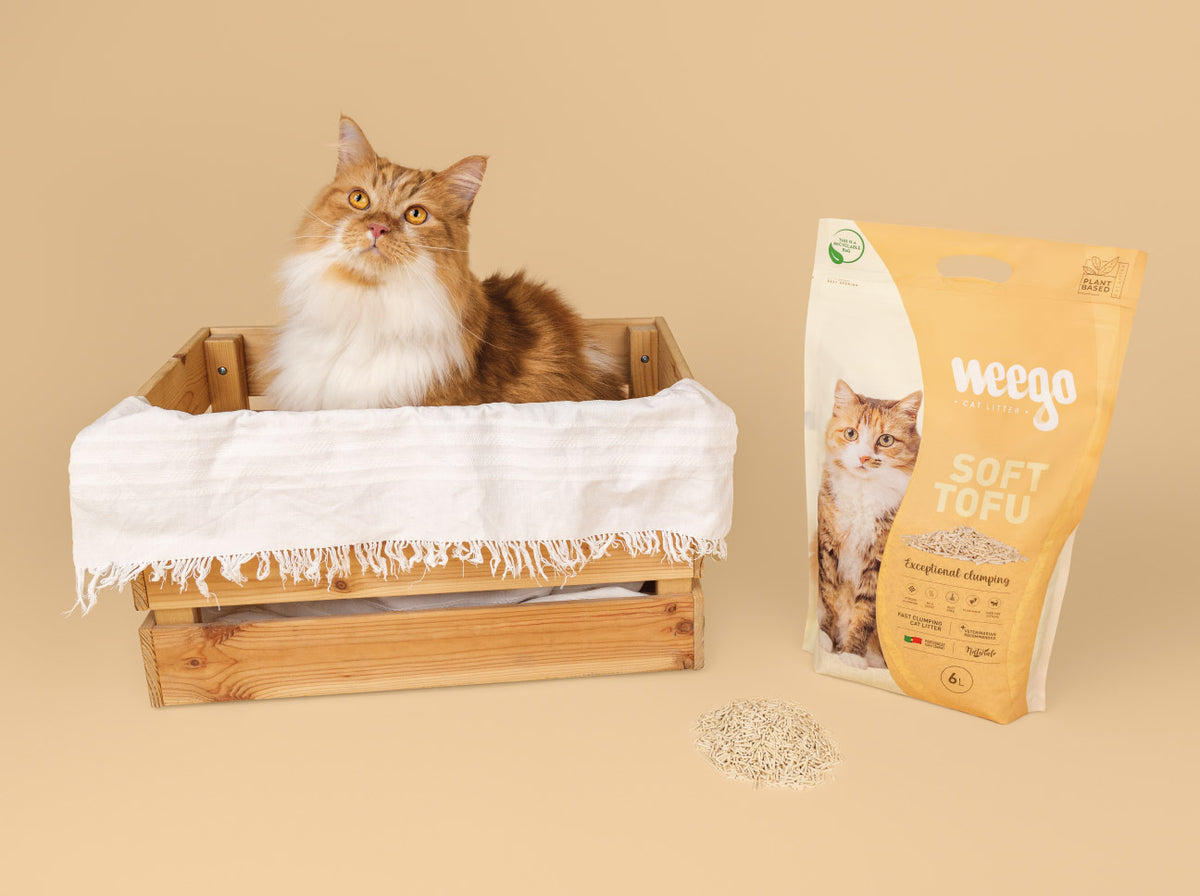 Weego Soft Tofu - Areia Aglomerante Natural para Gatos com Aroma a Leite