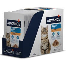 Advance Adult - Gato Adulto (Frango)