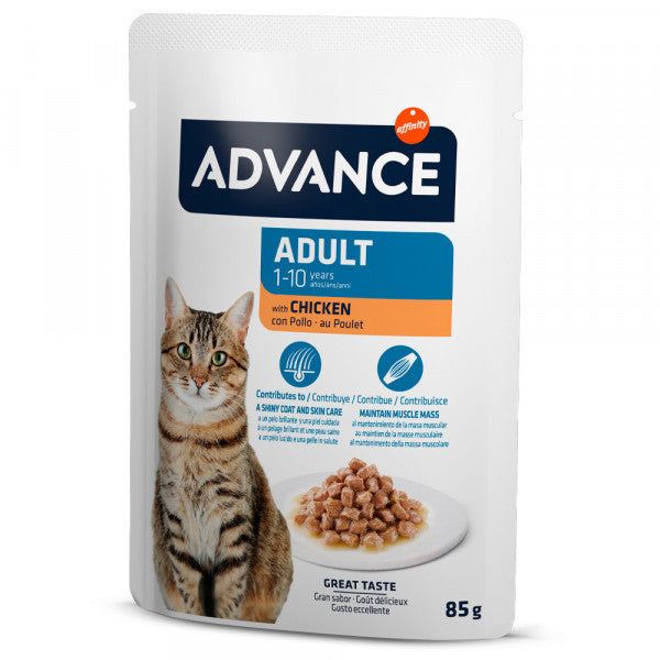 Advance Adult - Gato Adulto (Frango)