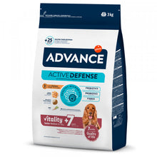 Advance Medium Senior +7 - Cão Sénior de Raça Média