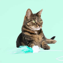 Bastão colorido Tilly Tickle para gato - Coockoo