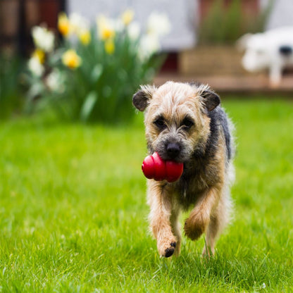 KONG Classic - Brinquedo Interativo Recheável para Cães