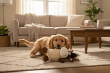 Cão a brincar com peluche burro 29cm