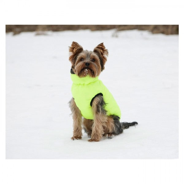 Casaco Acolchoado Reversível Charmomix para Cão - Kerbl