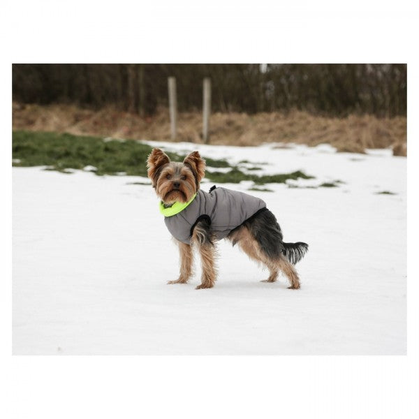 Casaco Acolchoado Reversível Charmomix para Cão - Kerbl