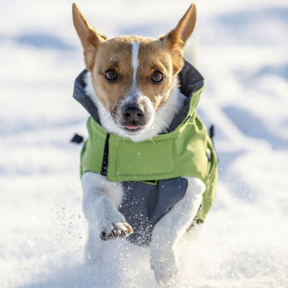 Casaco Impermeável com Capuz Vancouver para Cão - Kerbl