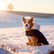 Casaco Impermeável Teddy para Cão - Kerbl