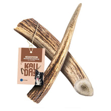Chifre de Veado Vermelho Natural para Cães Wildkraft - Snack Duradouro para Higiene Dentária | Kaudas