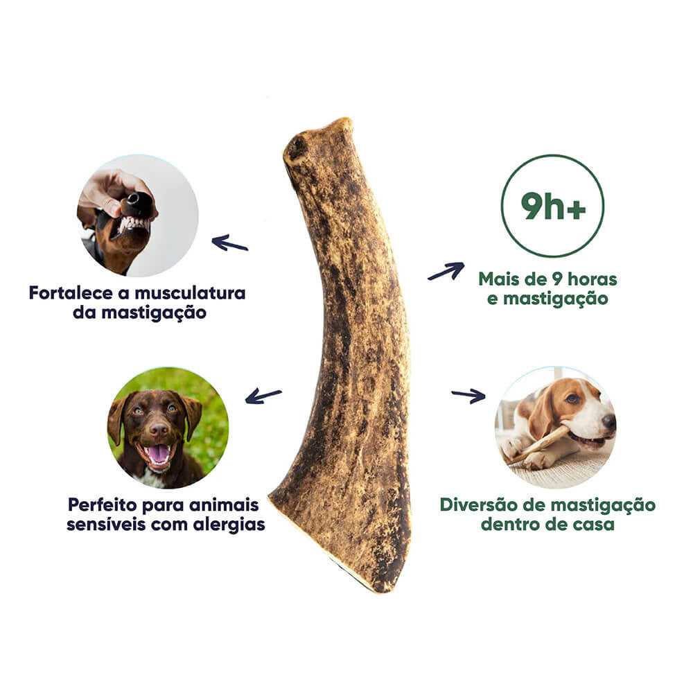 Chifre de Veado Vermelho Natural para Cães Wildkraft - Snack Duradouro para Higiene Dentária | Kaudas