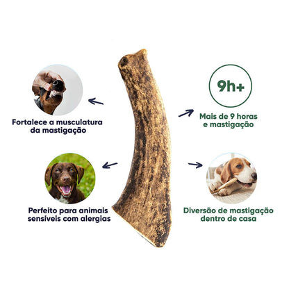 Chifre de Veado Vermelho Natural para Cães Wildkraft - Snack Duradouro para Higiene Dentária | Kaudas