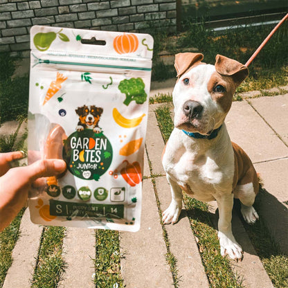 Garden Bites Junior Soft - Snacks Naturais para Cão Júnior (+3 meses)