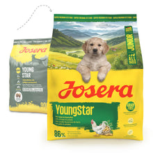 Josera All Sizes Young Star - Ração Seca sem Cereais para Cão Puppy/Junior - Frango e Batata Josera