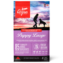 Orijen Puppy Large - Ração Seca para Cachorro de Porte Grande - Frango