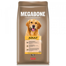 Picart Megabone Adult